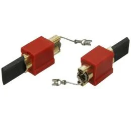 Charbons moteur - Adaptable référence 250162 pour Lave-linge
