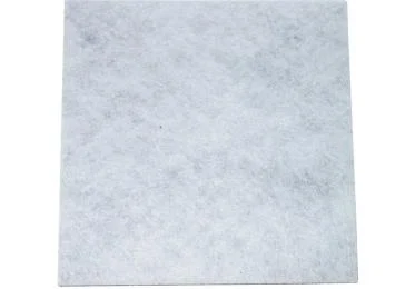 Filtre moteur référence 305031 pour Aspirateur - Philips