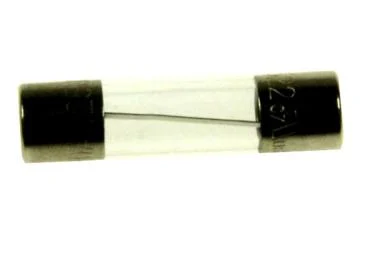 Fusible 10A référence 317710 pour Micro-ondes