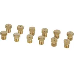 Injecteurs gaz butane référence 302974 pour Cuisiniere, plaque de cuisson - Bosch