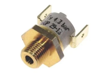 Pressostat référence 312232 pour Centrale-vapeur
