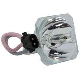Lampe Seule d'Origine Phoenix (SHP) (#OB0009)