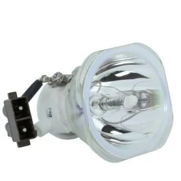 Lampe Seule d'Origine Phoenix (SHP) (#OB0036)
