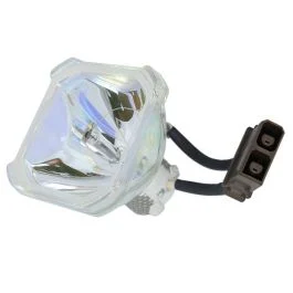 Lampe Seule d'Origine Phoenix (SHP) (#OB0080)
