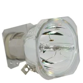 Lampe Seule d'Origine Phoenix (SHP) (#OB0117)
