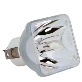 Lampe Seule d'Origine Phoenix (SHP) (#OB0166)