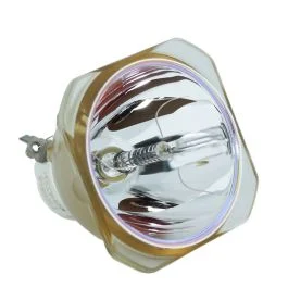 Lampe Seule d'Origine Ushio (NSHA) (#OB0234)